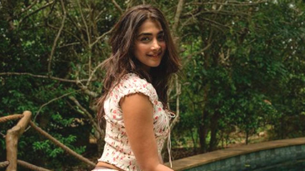 'Birthdays in the wild': Pooja Hegde shares glimpse of birthday celebration