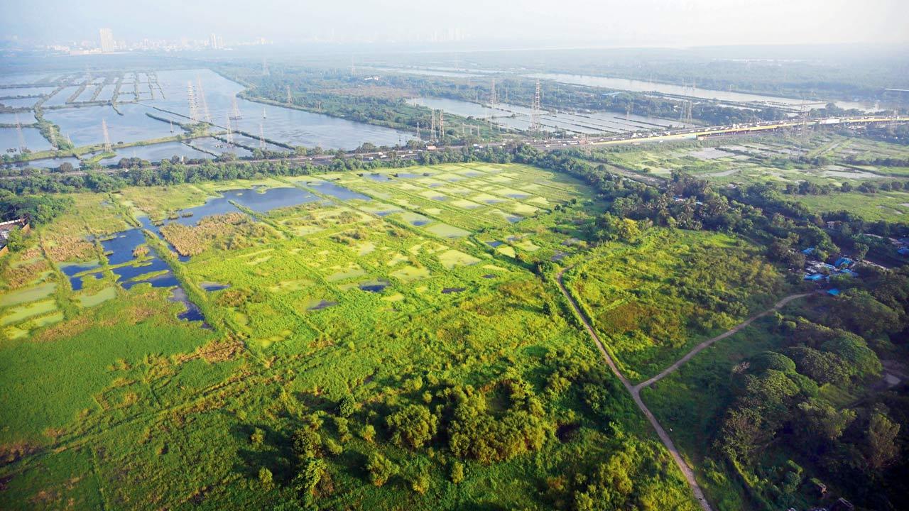 The area where a colony is being constructed for project-affected people near salt pan land in Mulund East
