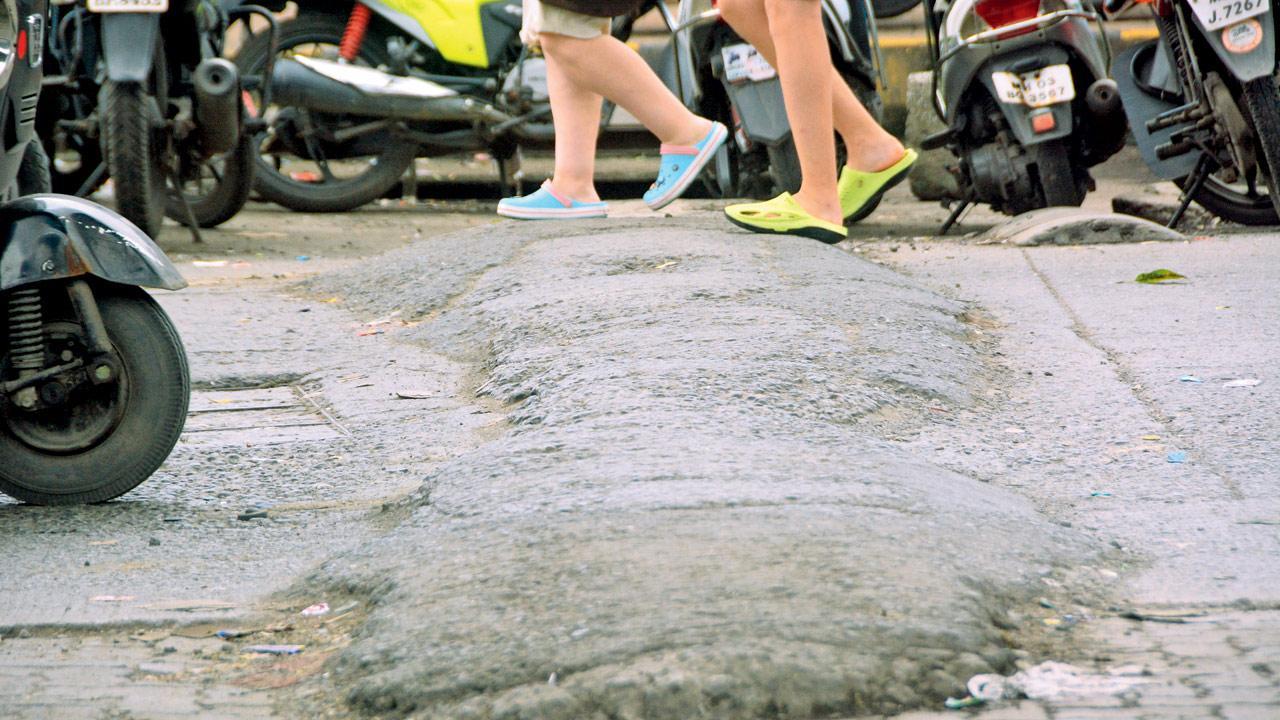 Mumbai community group offers to paint all city speed breakers as per spec