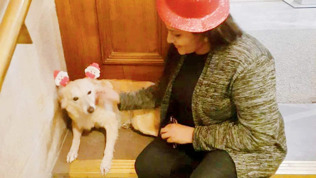 Sneha Visaria, a resident of Fort, has been feeding 150 cats and 60 dogs in Fort and nearby areas for many years