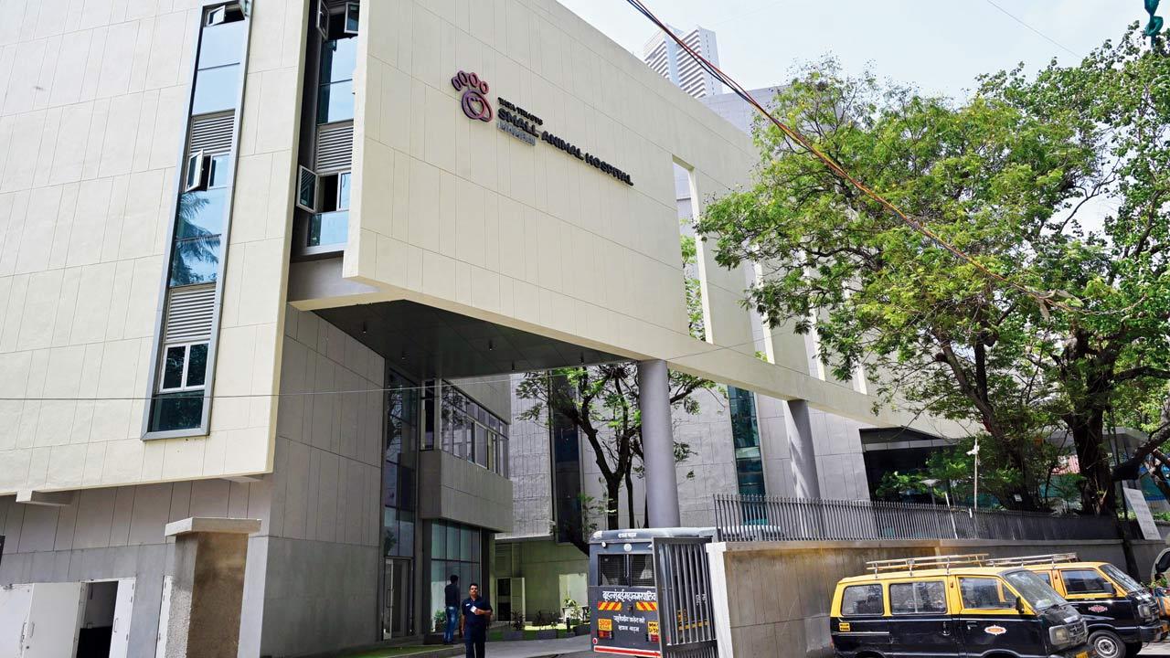 Tata Trust Small Animal Hospital in Mahalaxmi. Pic/Ashish Raje