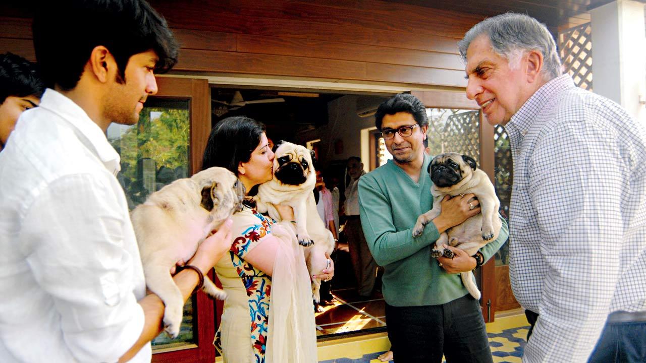 Ratan Tata admiring Raj Thackeray’s pets at their residence in August 2013. Pic/mid-day archives