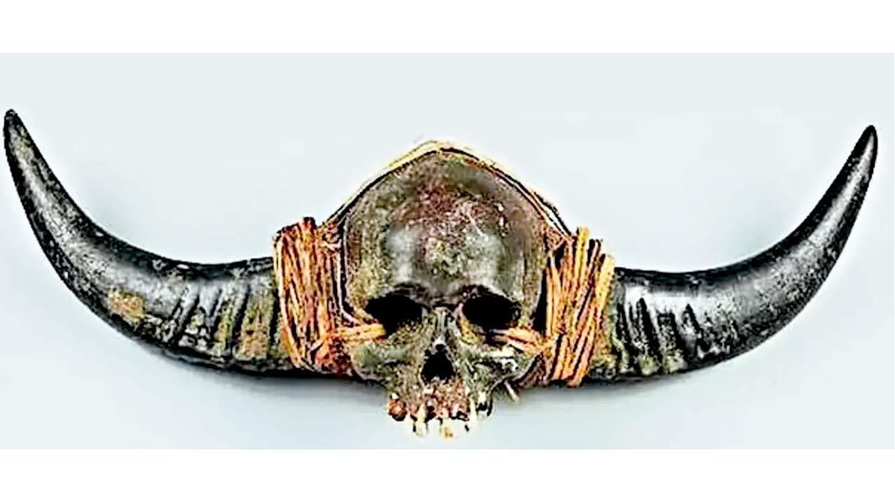 UK auction house withdraws sale of ‘Naga Human Skull’