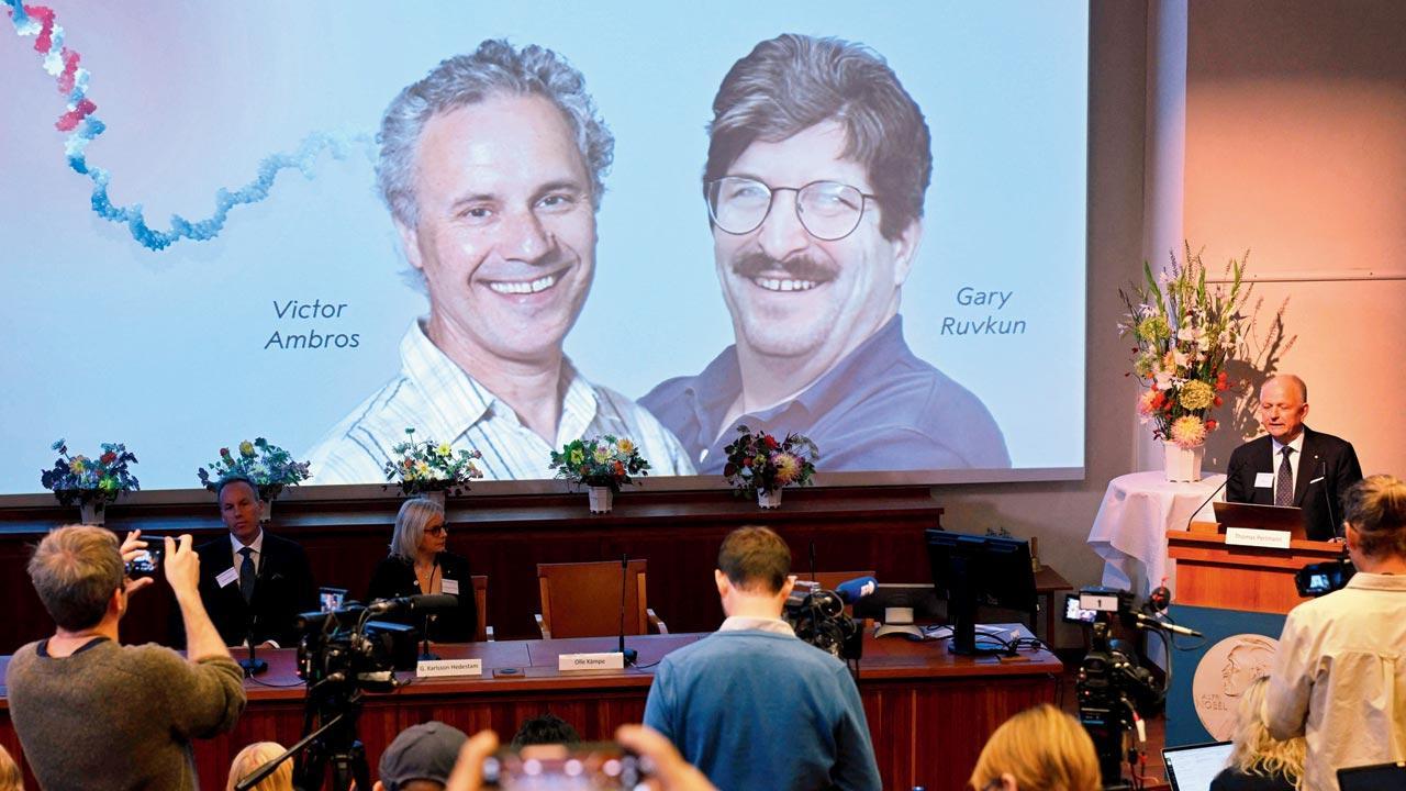 US duo wins Nobel Prize in medicine