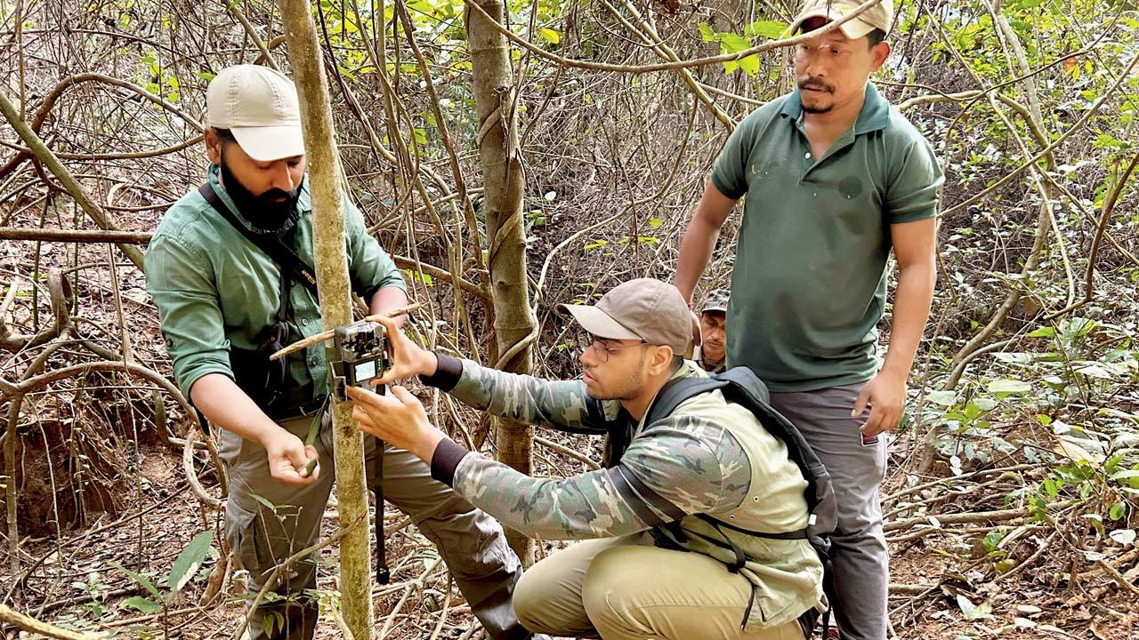 The team that set up camera traps in the forest