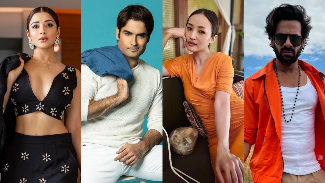 Bigg Boss 18: Confirmed list of contestants on Salman Khan's reality show
