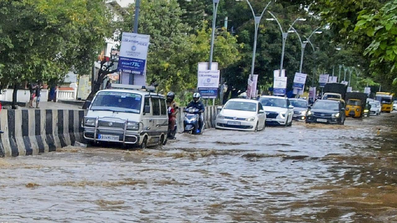 Several trees came down crashing in the city affecting vehicular movement