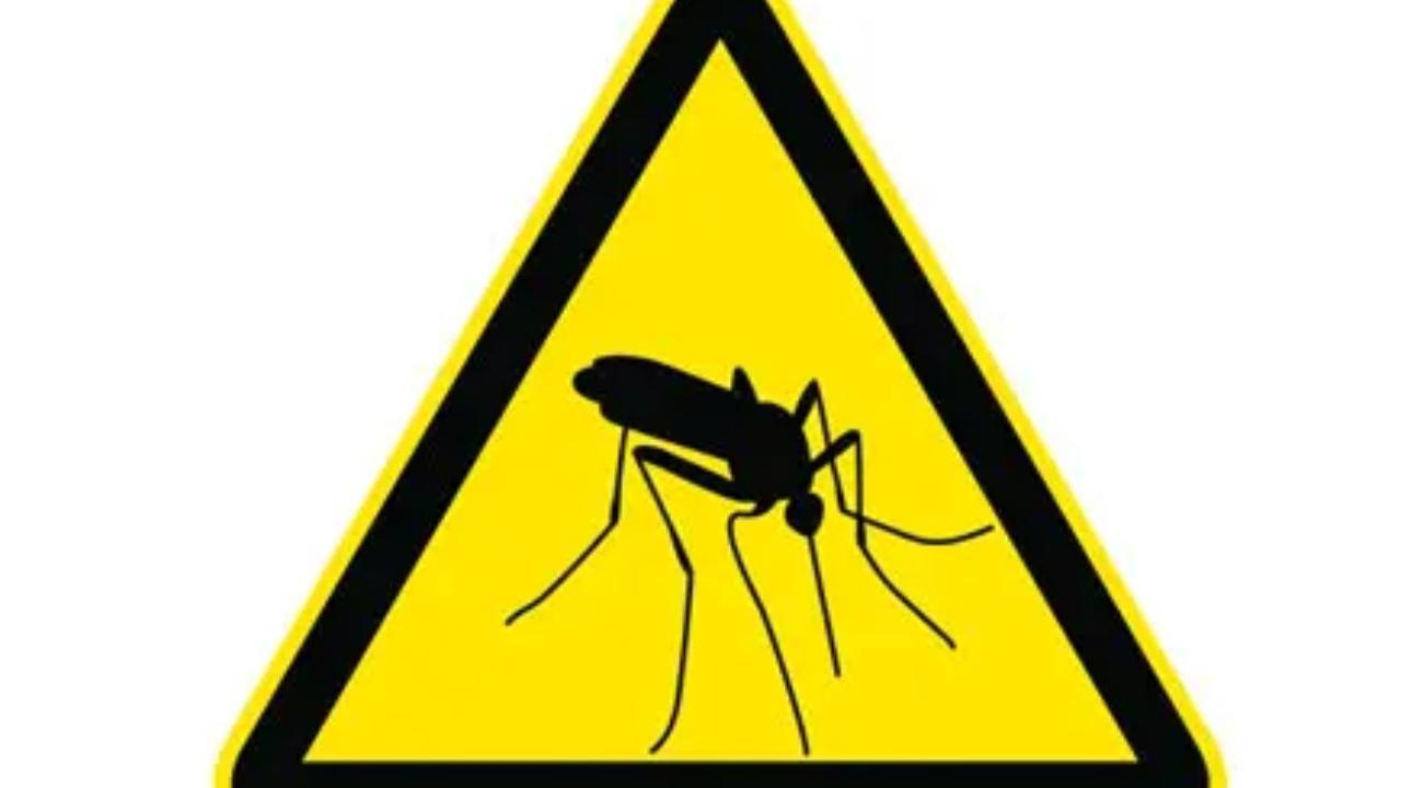 Dengue cases surge in Delhi, over 400 new infections recorded in a week