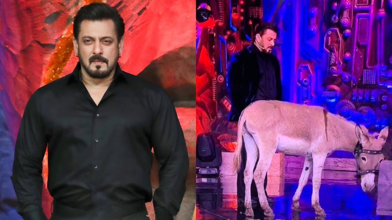 Bigg Boss 18: Donkey Gadhraj gets freed from the house during Weekend Ka Vaar after backlash from animal welfare organisations. Read More