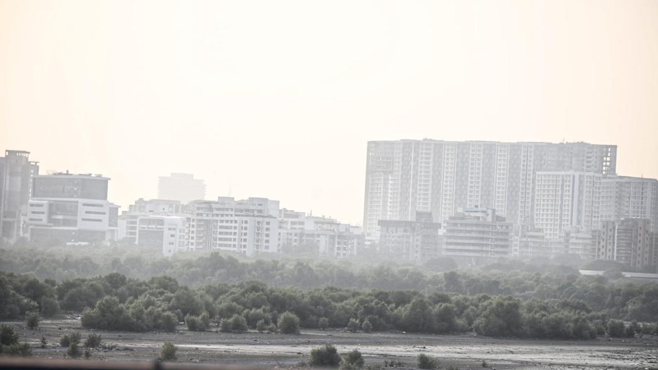 In addition to the cooler temperatures, Mumbai's skyline is marked by haze, contributing to a decrease in air quality