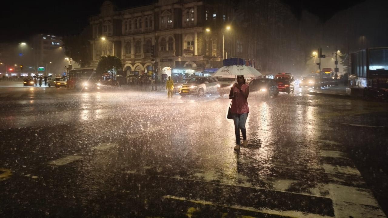 Monsoon: Nearly 1,500 died in extreme weather events in 2024 rainy season