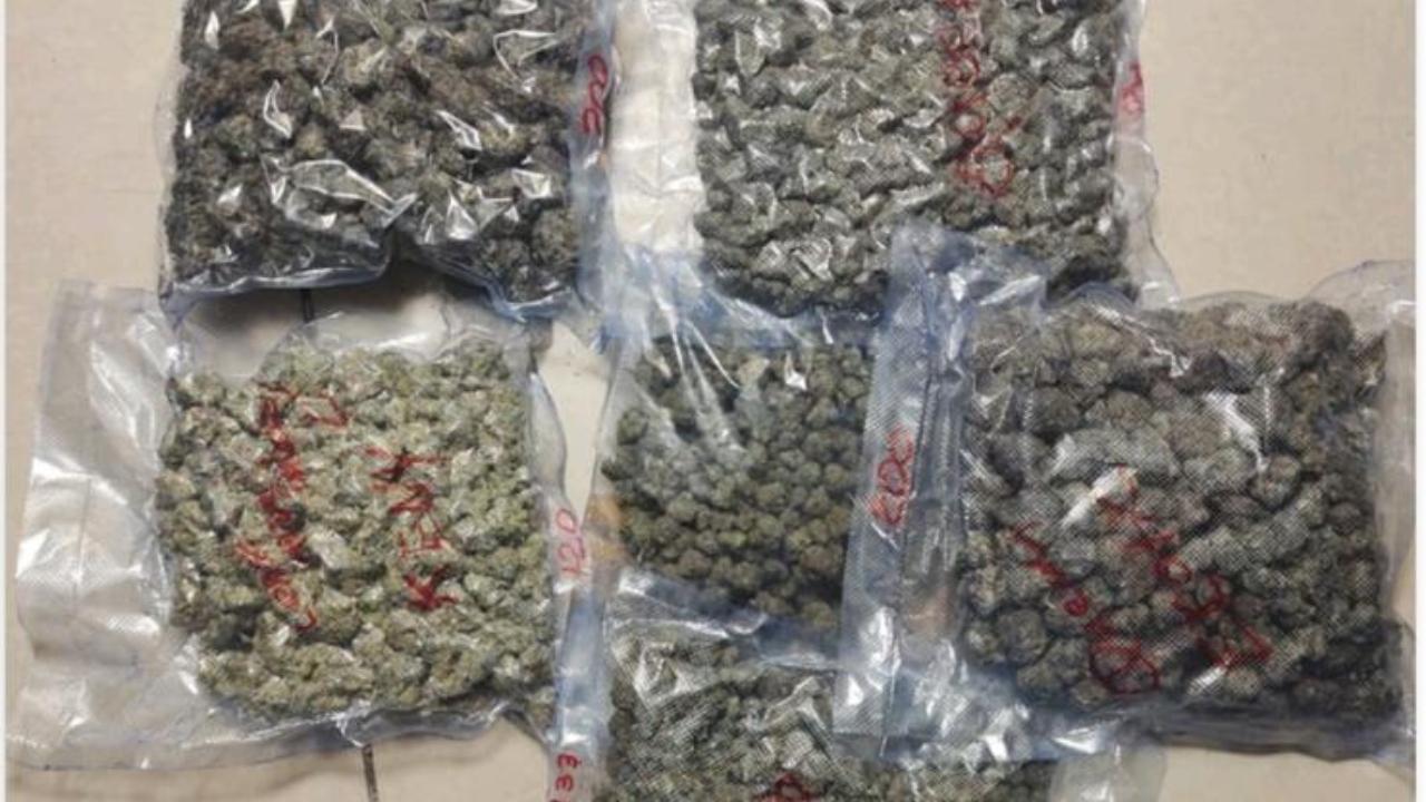 Mumbai Customs seize over 1.4 kg marijuana concealed in garments, passenger arrived from Bangkok held