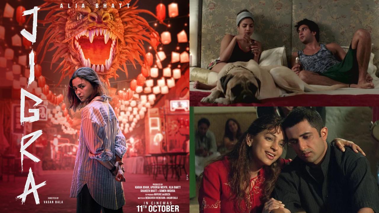 Before Jigra's release, here are movies that showcase the brother-sister bond
