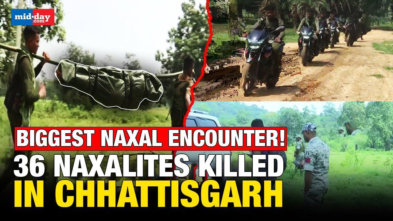 Big achievement! 36 Naxalites shot dead in Chhattisgarh's Dantewada