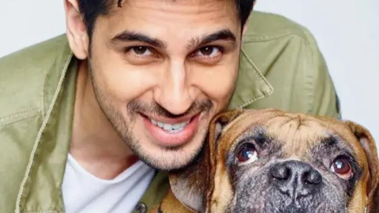 Have you heard? Sidharth Malhotra celebrates Animal Welfare Day