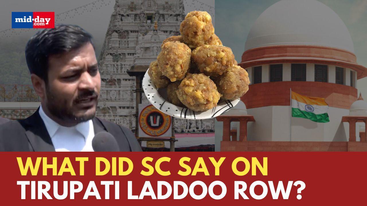 Tirupati Laddoo Row: Here's what the Supreme Court said!