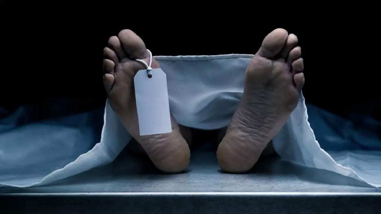 Jodhpur woman dies of Congo fever, Rajasthan govt issues guidelines for state