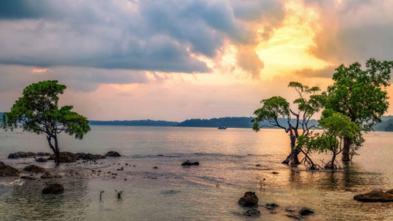 Chidiya Tapu (Bird Island)
This place is a haven for bird enthusiasts. Apart from bird watching, one can also enjoy water sports like snorkelling and scuba diving here. It is also known to have breathtaking sunset views. (Pic: iStock)