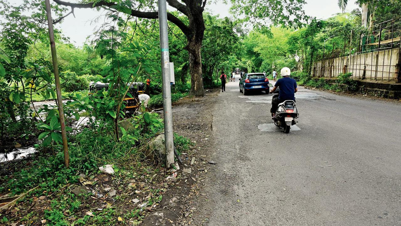 3 die as bike hits light pole at Aarey in Mumbai; leopard hit by rick