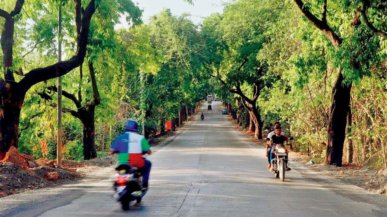 Aarey accident spree: Forest department demands speed-breakers