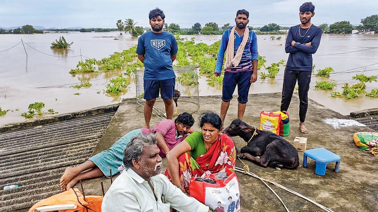 Andhra Pradesh floods: Scores scramble for food, milk in Vijayawada