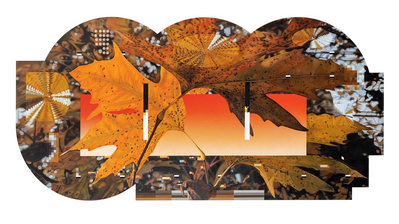 Arboretum 24 - Platanus Orientalis, 2024