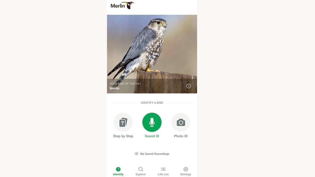 Team Guide Recommends: Bird talk