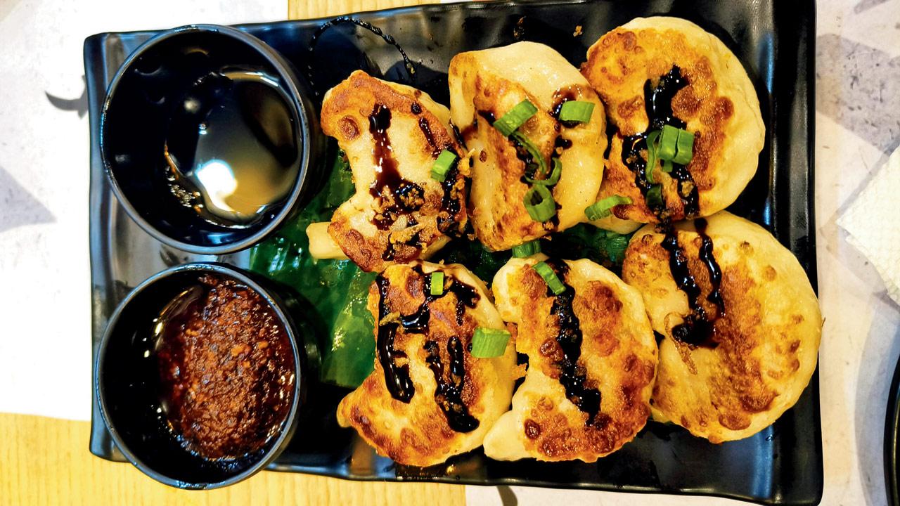 Chicken gyoza momos