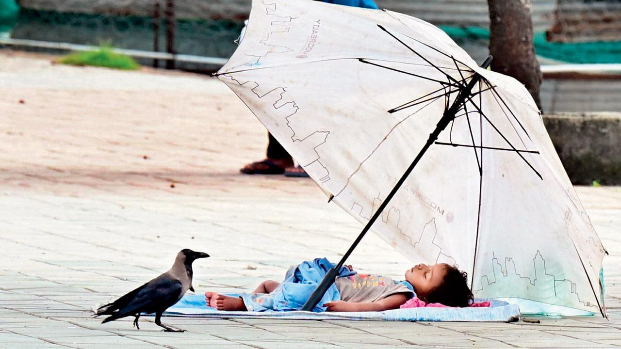 Mumbai Diary: Thursday Dossier