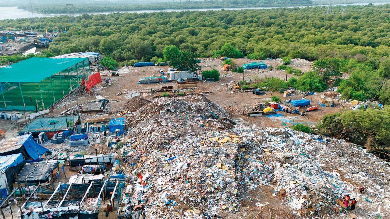 Mid-Day Impact | Mumbai: CCTV surveillance to curb debris dumping in Versova