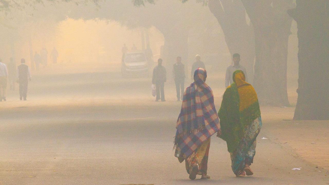 Delhi govt releases plan for a smog-free winter