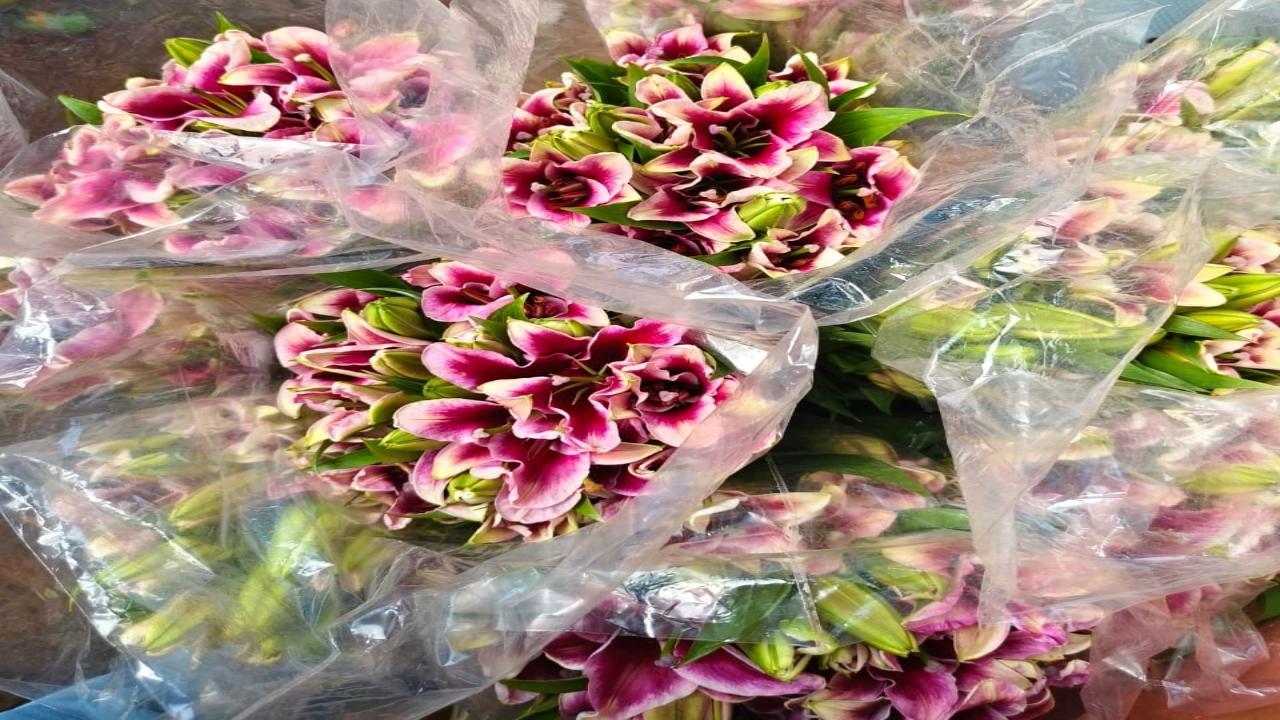 Despite the high cost of these flowers, many are opting for them owing to the grandeur they showcase 