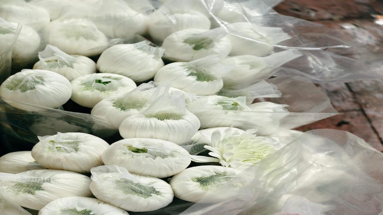 More devotees are now opting for flowers and other eco-friendly ways of decorations instead of the earlier-used plastic and thermocol 