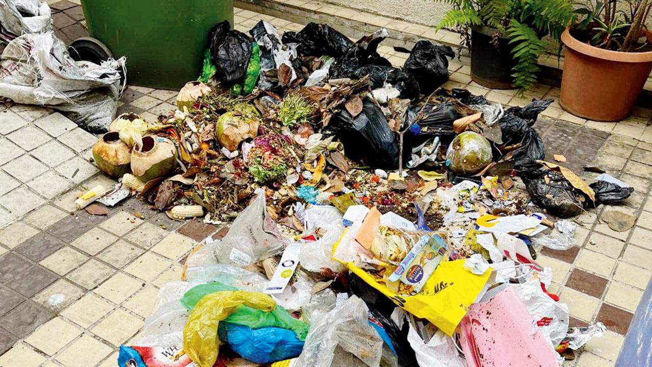 Residents said the restaurant’s garbage adds to the menace