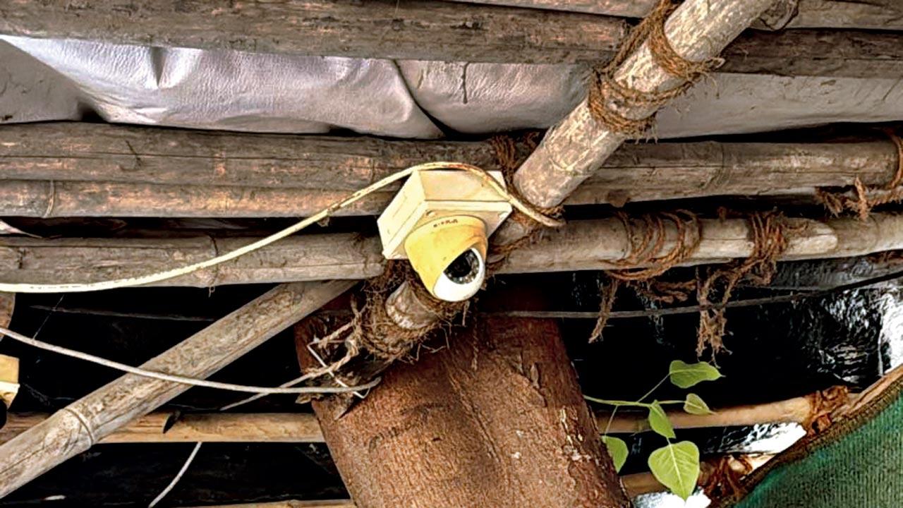 The CCTV camera at the site