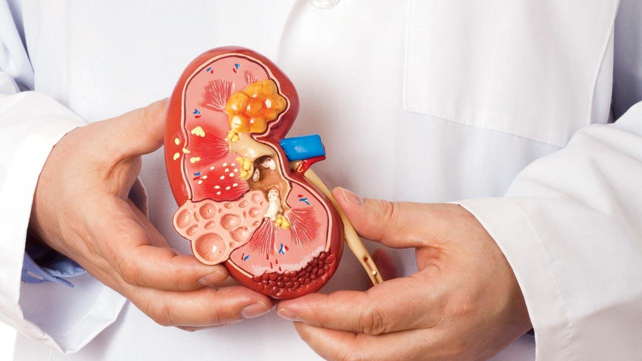 According to sources, racketeers keep an eye on prominent dialysis centres in various cities. File pic