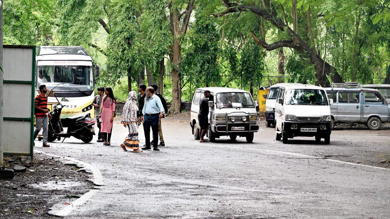 Exclusive | Mumbai: Illegal taxis running riot inside Sanjay Gandhi National Park
