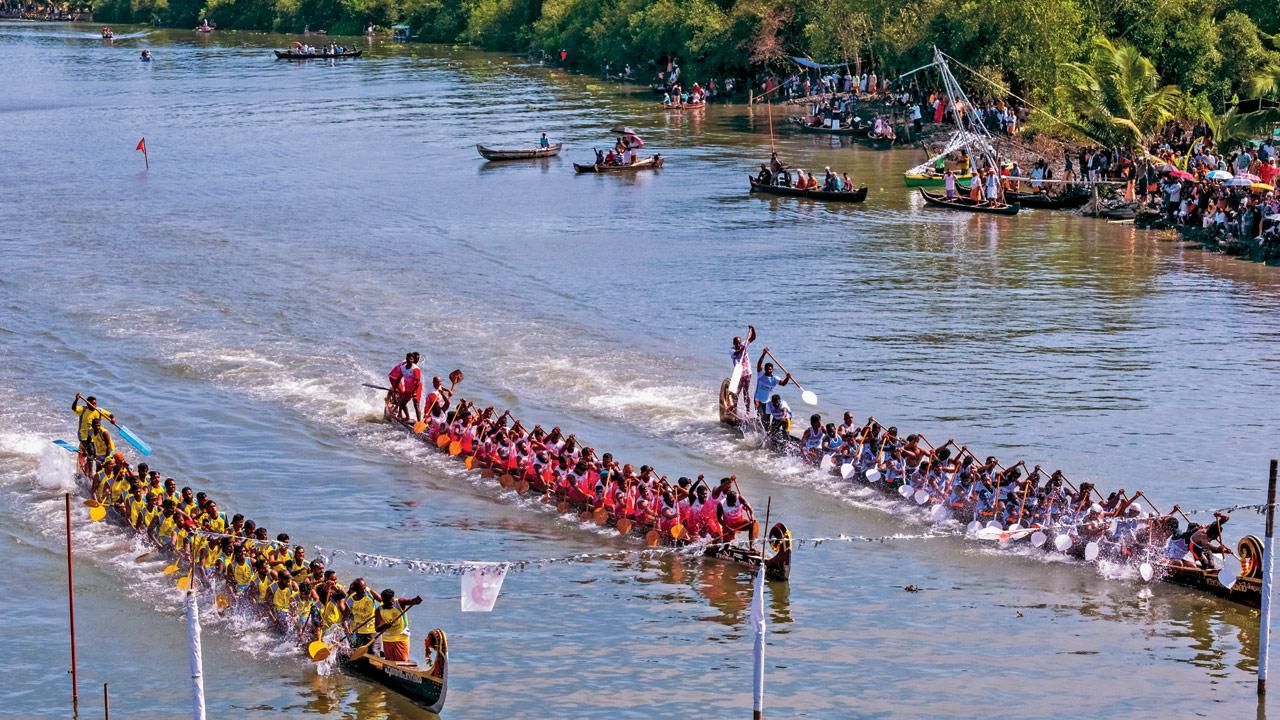 Along with popular folk-art forms such as Theyyam, Kathakali and Pulikali, the Chundan Vallam or snake boat races form an important part of celebrations in Kerala. These long and narrow boats, can extend up to a hundred feet in length and are manned by a large crew. PICS COURTESY/BLOOMSBURY INDIA