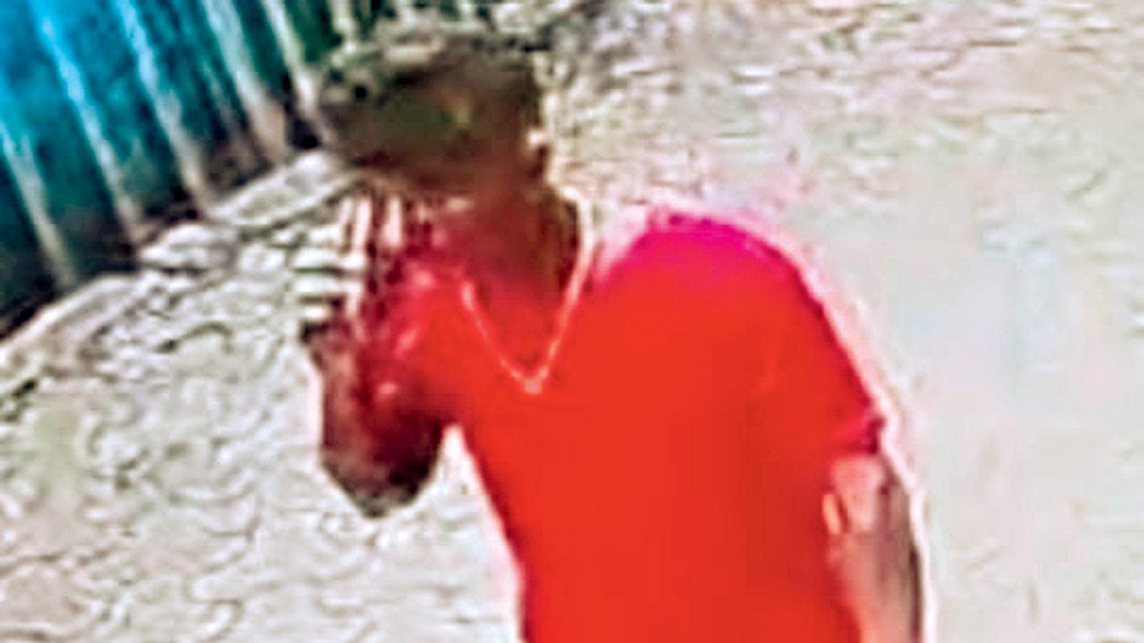 The thief seen in CCTV camera footage