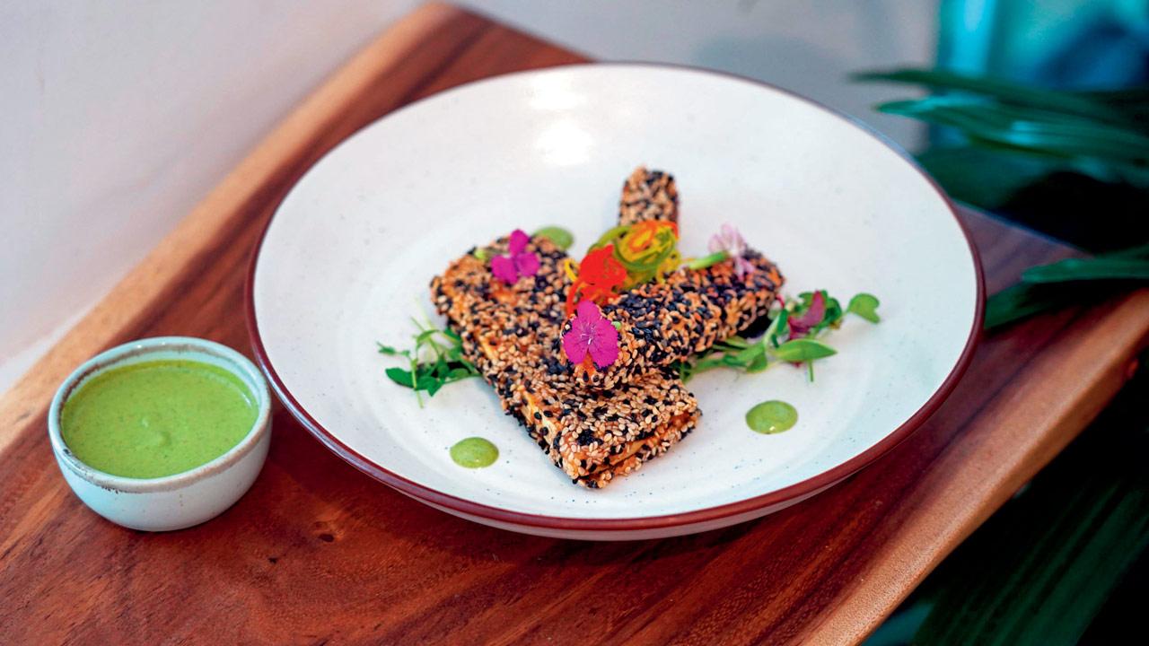 Chef Mohnish Kothare makes sesame-crusted paneer at Mazi Cafe. Pic/Aditi Haralkar