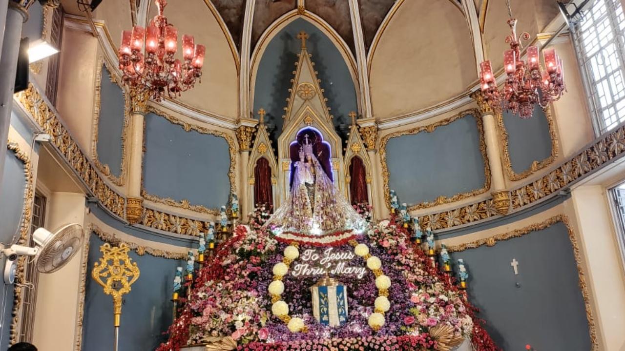 The church has made a new addition this year to the altar decorated with different colours of flowers, with the LED lights depicting 'To Jesus Thru Mary'.