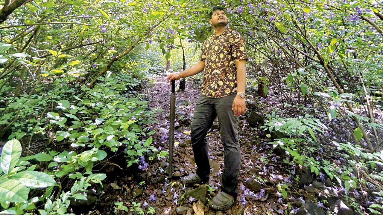 Shailesh Gupta at the karvi flower patch in CEC BNHS
