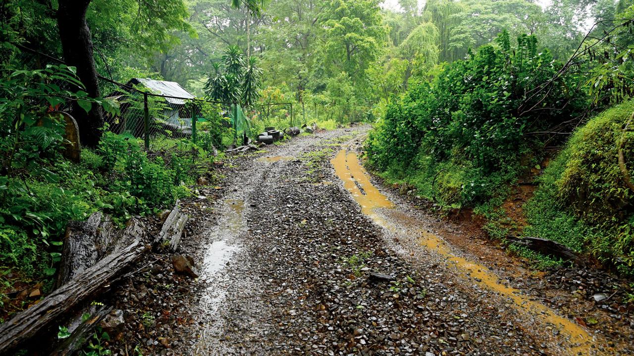 The path along which the new track will be laid