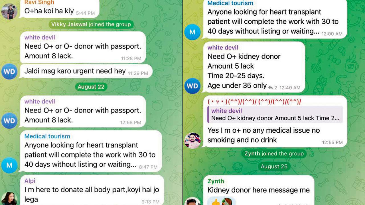 Screenshots of a conversation in a Telegram group where agents and donors interact