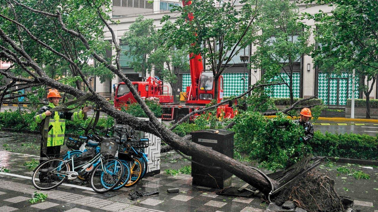 Shanghai hit by 2nd typhoon in week