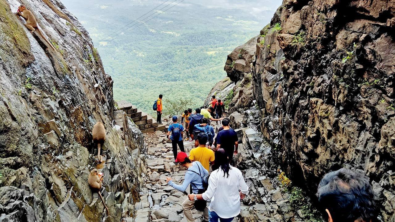 Take a hike! Sign up for these scenic treks around Mumbai this weekend