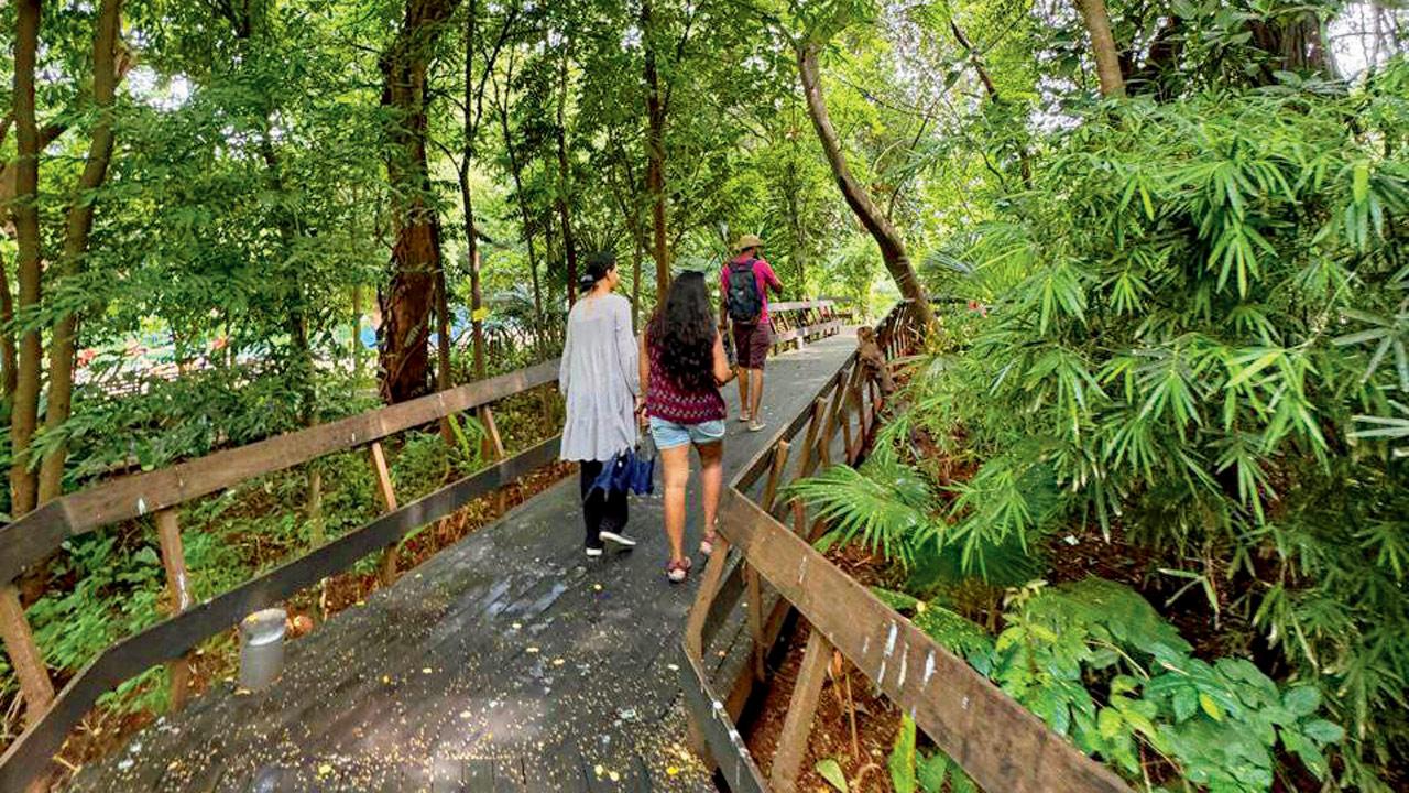 Participants at a previous tree walk hosted at Rani Baug in Byculla