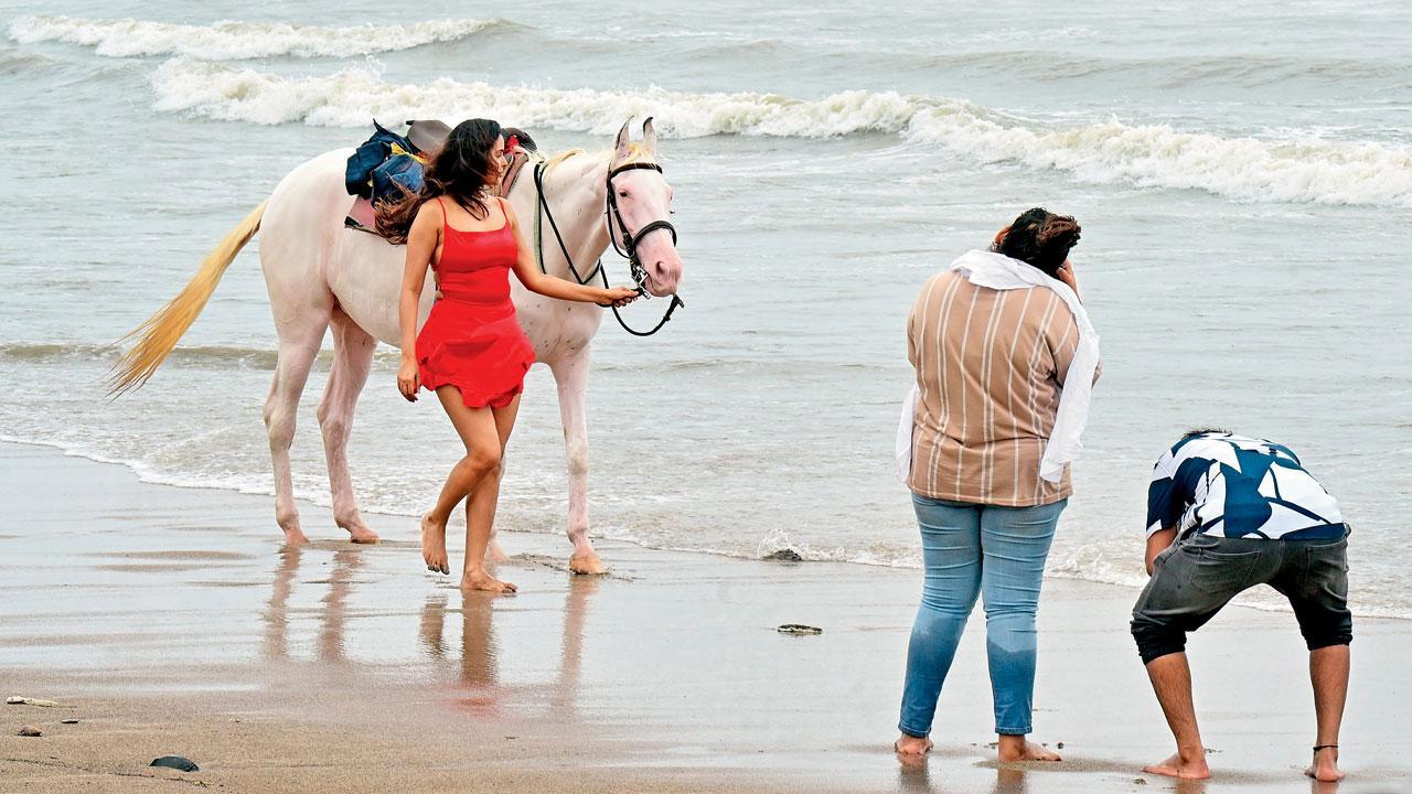 Mumbai Diary: Sunday Dossier