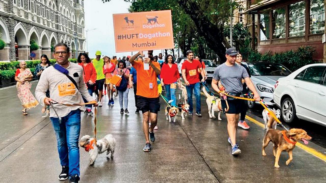 Paws for a cause: This walkathon for pets aims to promote welfare of community animals 