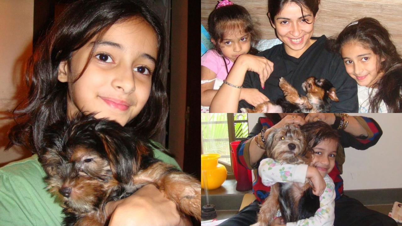 '16 years of life...': Ananya Panday mourns the loss of her beloved dog Fudge